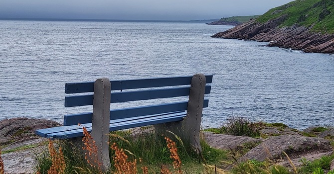 Counselling / Peer support services
