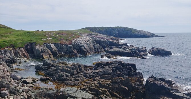 Counselling / Peer support services